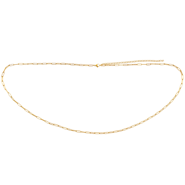 Viola Paper Clip Waist Chain - HoneyBug
