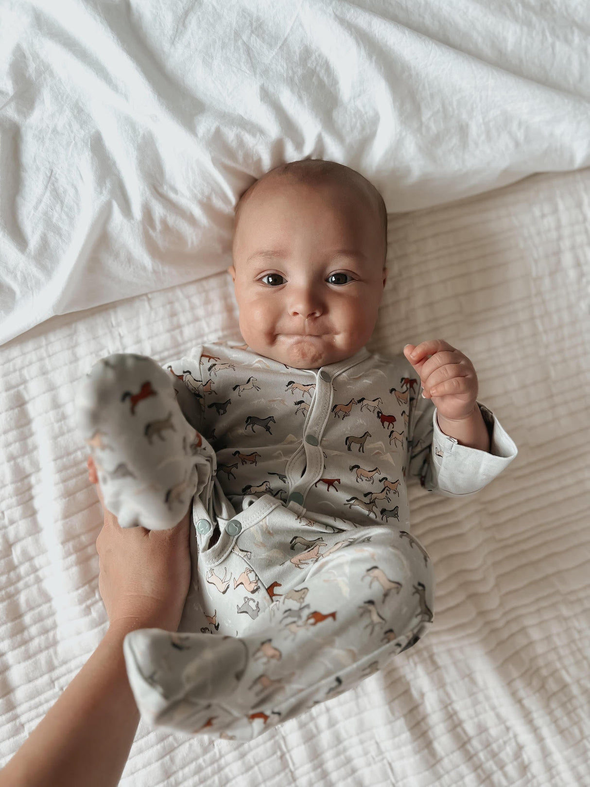 Bamboo Blend Footie - Wild Horses - HoneyBug