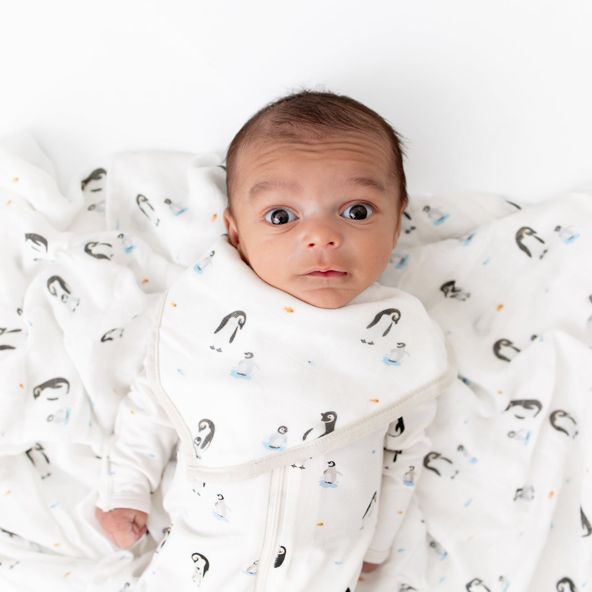 Penguin Bib Set - HoneyBug