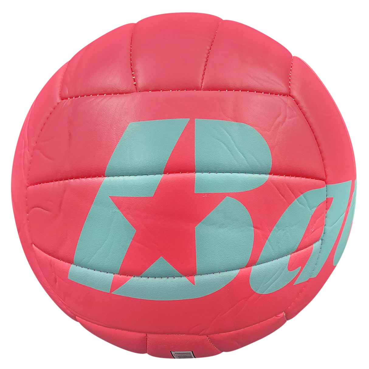 Baden Paradise Volleyballs - HoneyBug