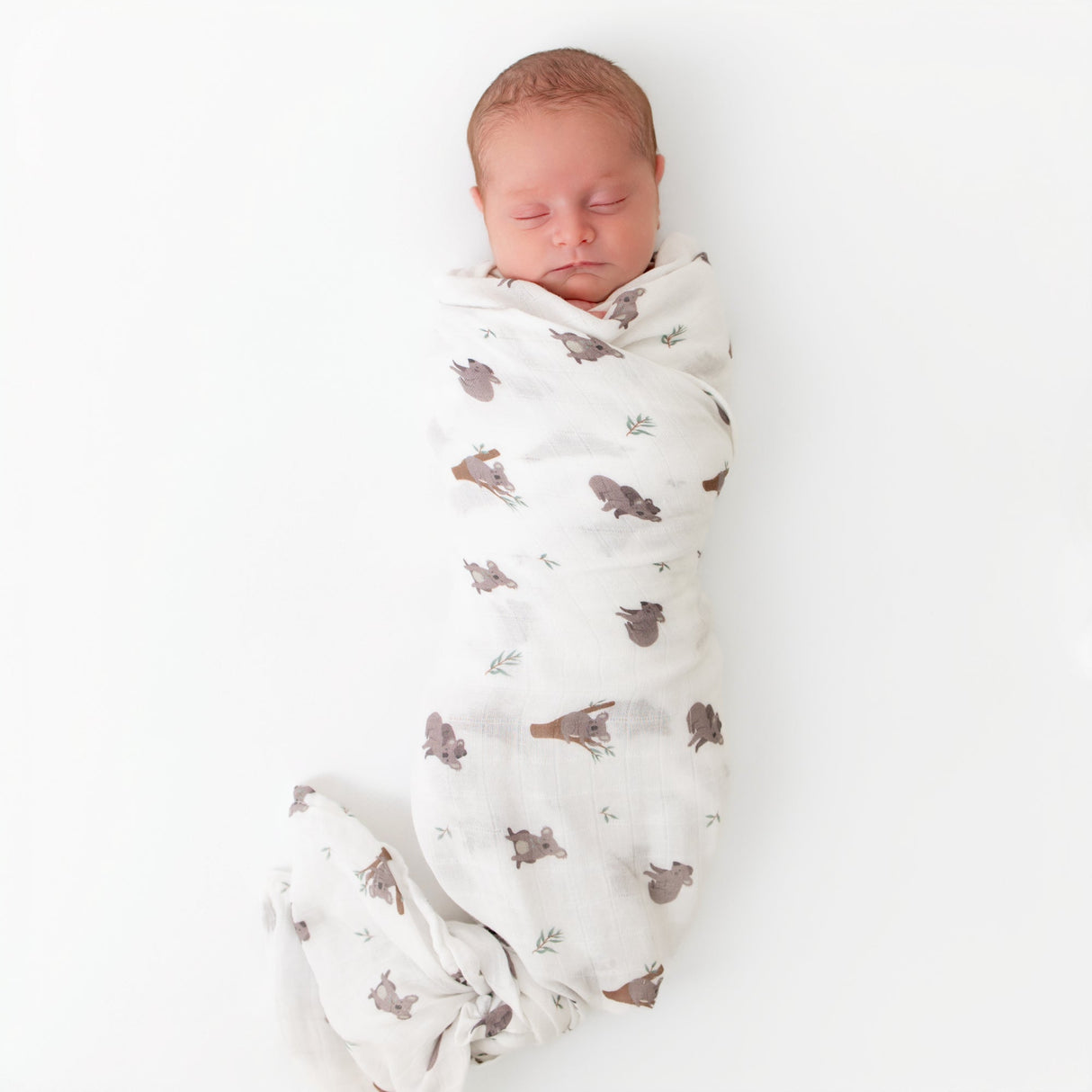 Koala Swaddle - HoneyBug