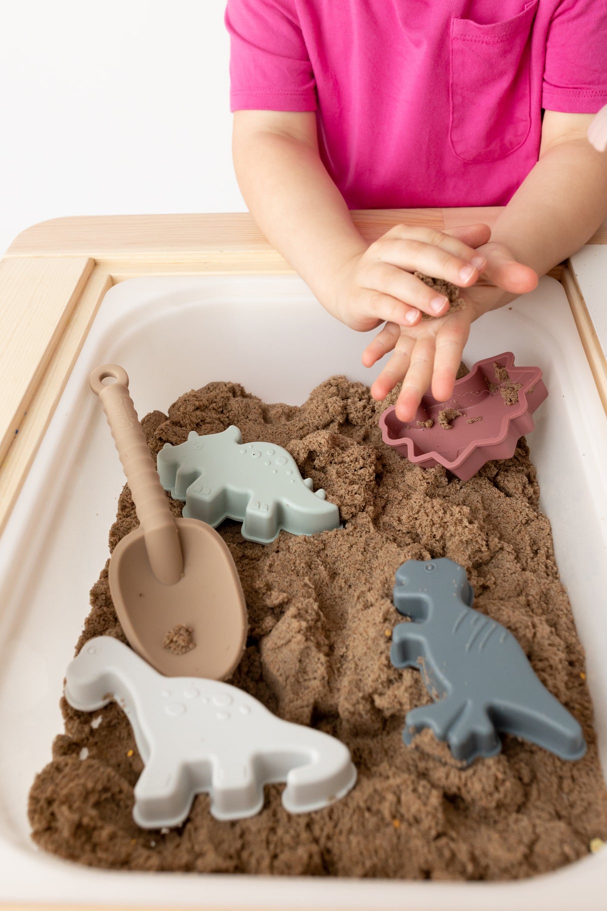 Ainsley's Dinos Silicone Beach Toy Set
