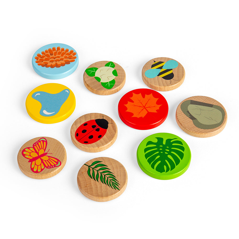 Microscope - HoneyBug