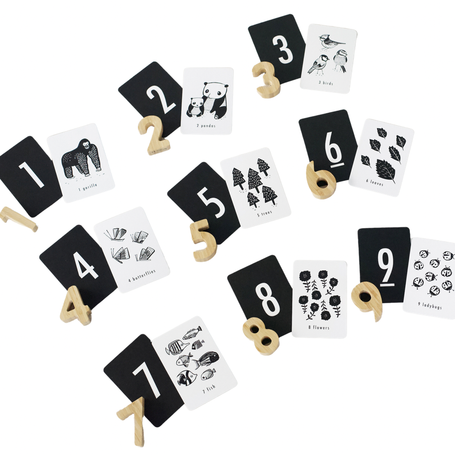 Counting Adventure Bundle - HoneyBug