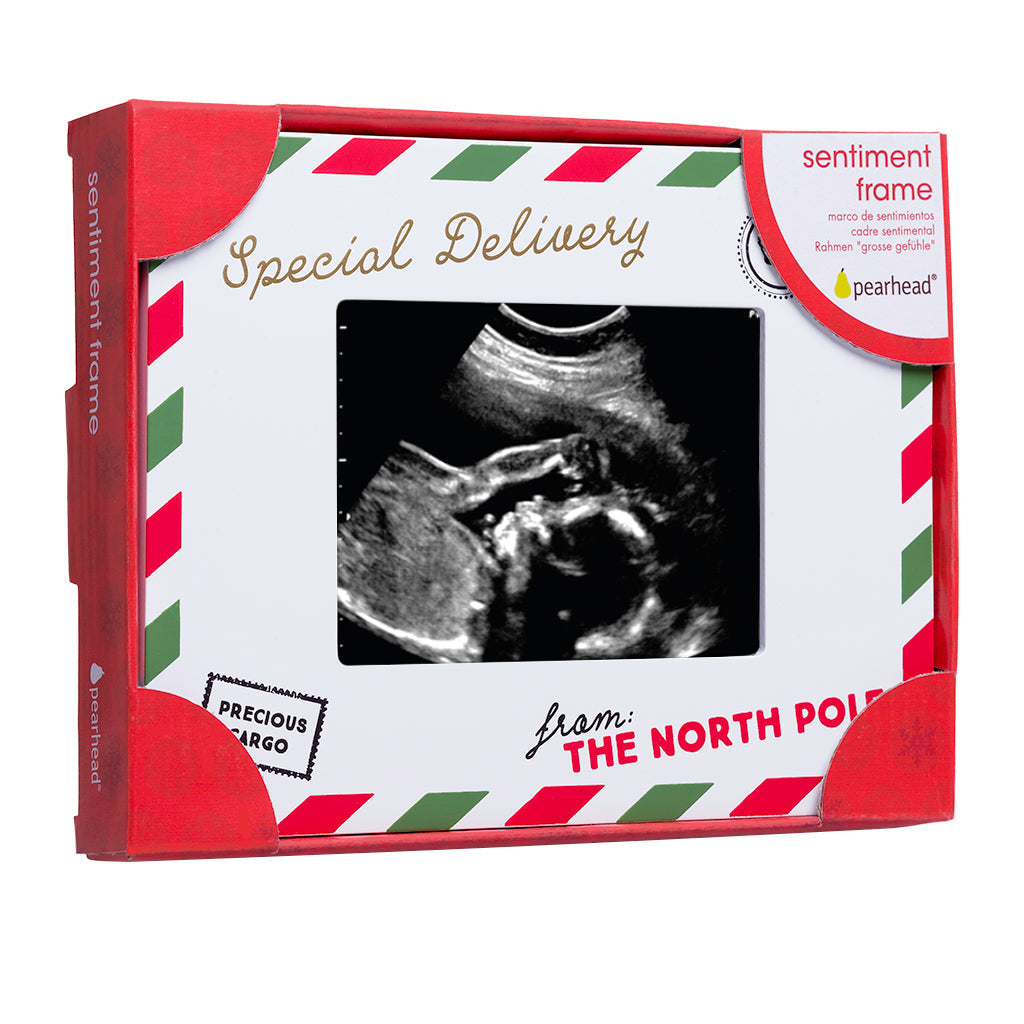 Special Delivery Sonogram Frame - HoneyBug