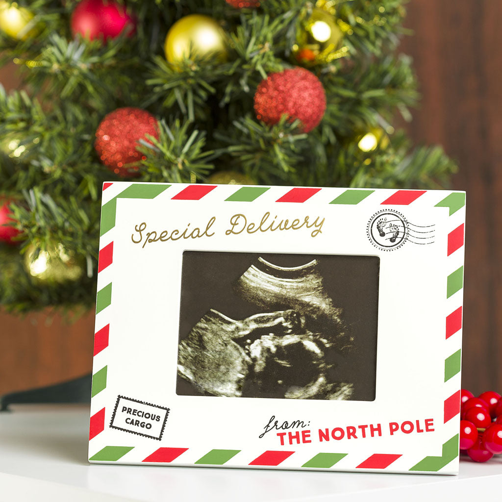 Special Delivery Sonogram Frame - HoneyBug