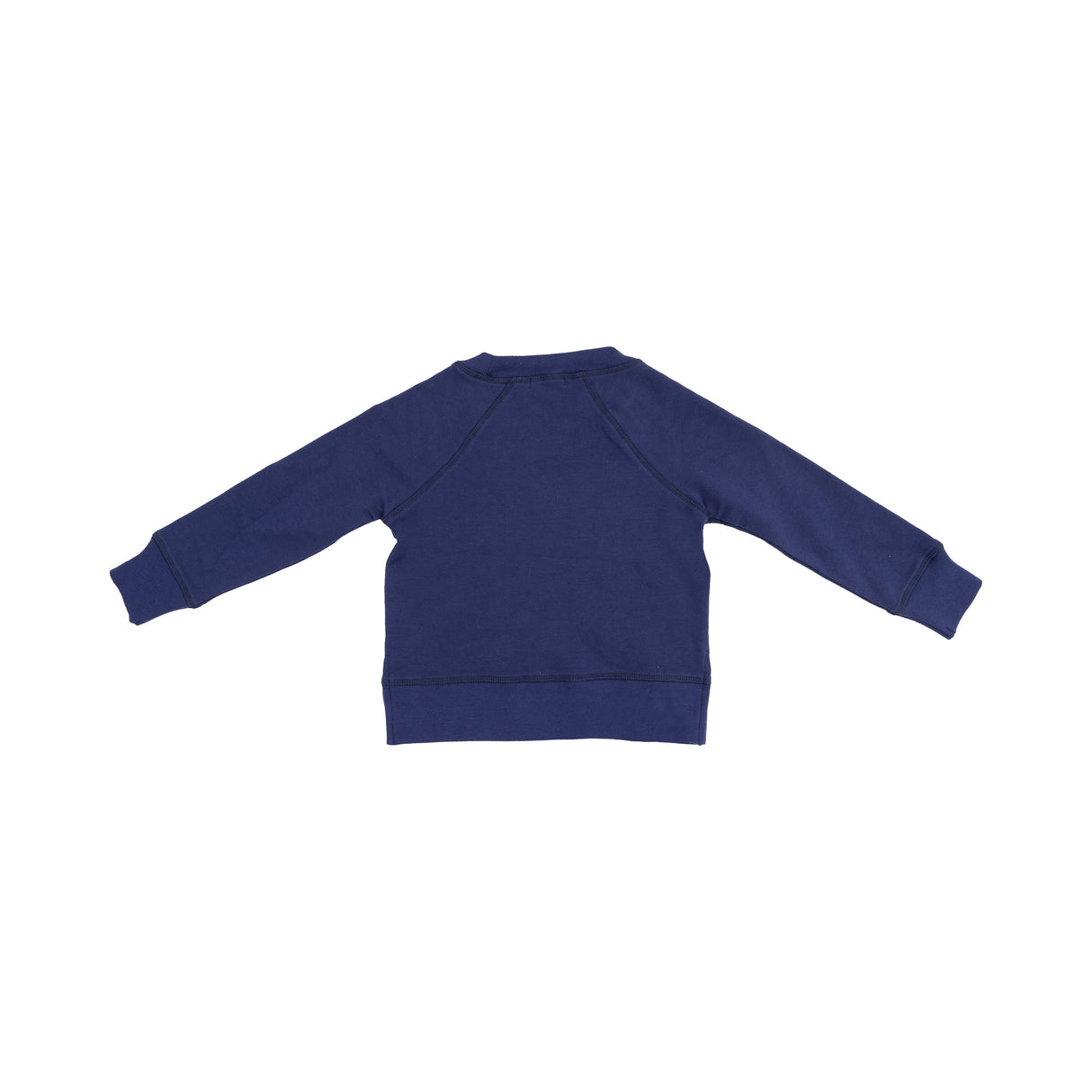 Sweatshirt - Sibling Big Bro - HoneyBug