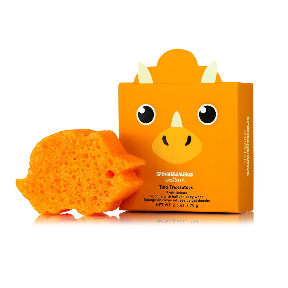 Spongeasaurus Assorted Pack - HoneyBug