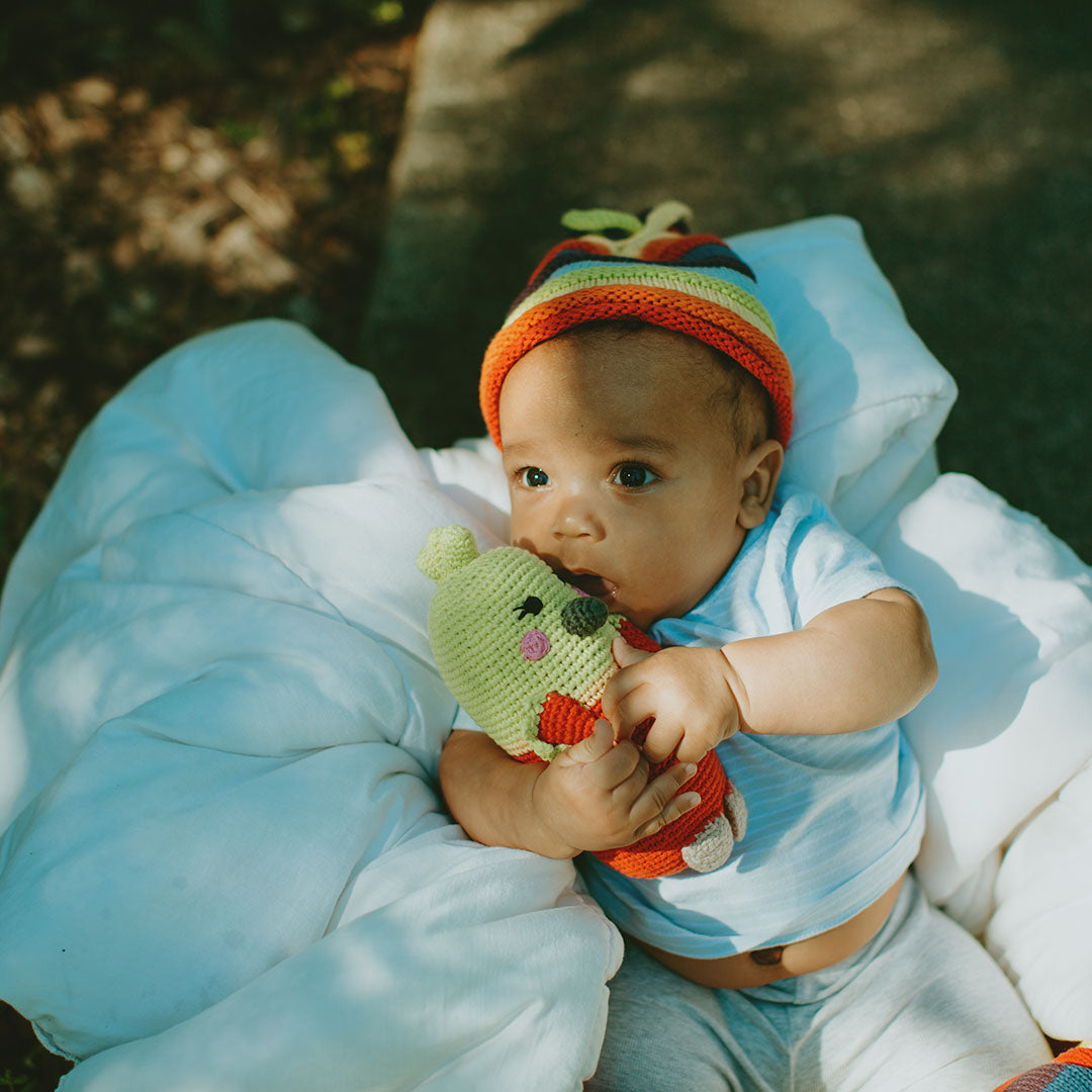 Parrot Rattle - HoneyBug