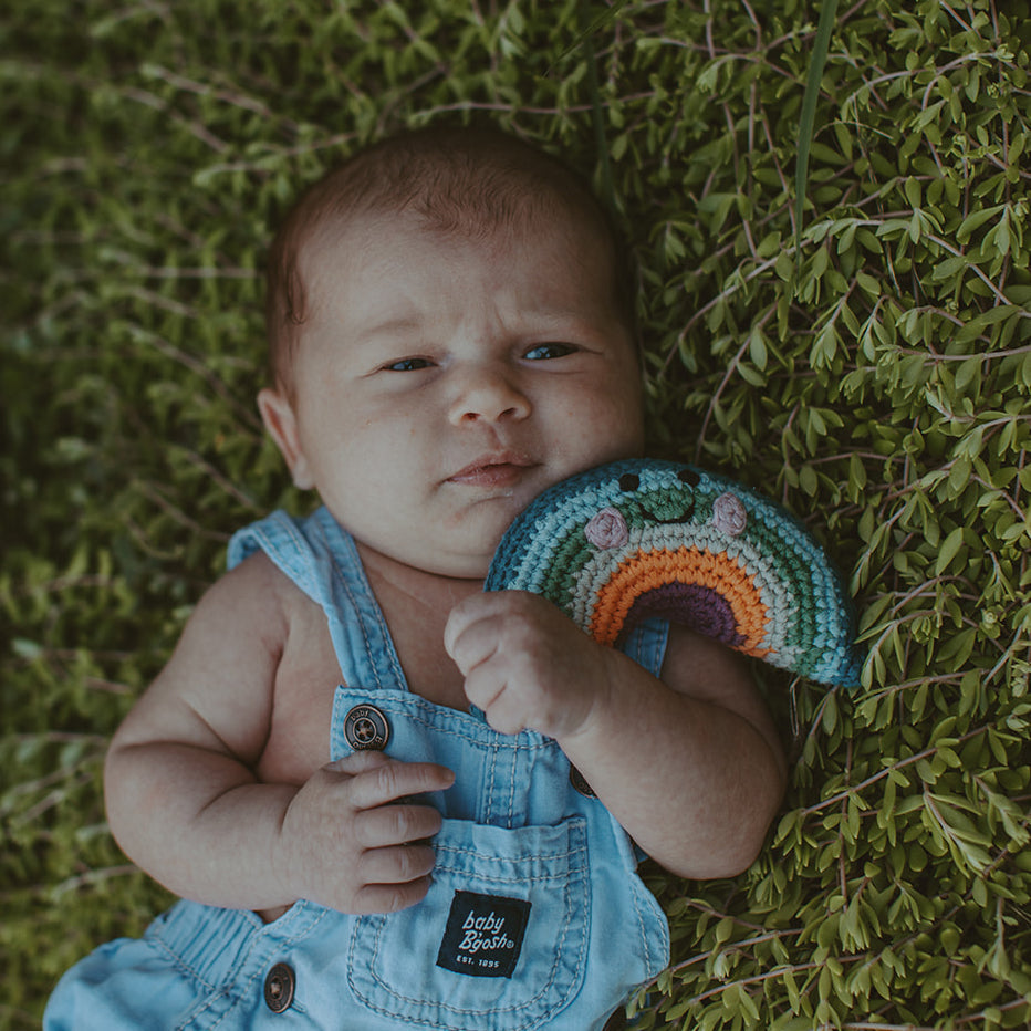 Friendly Rainbow Rattle - HoneyBug