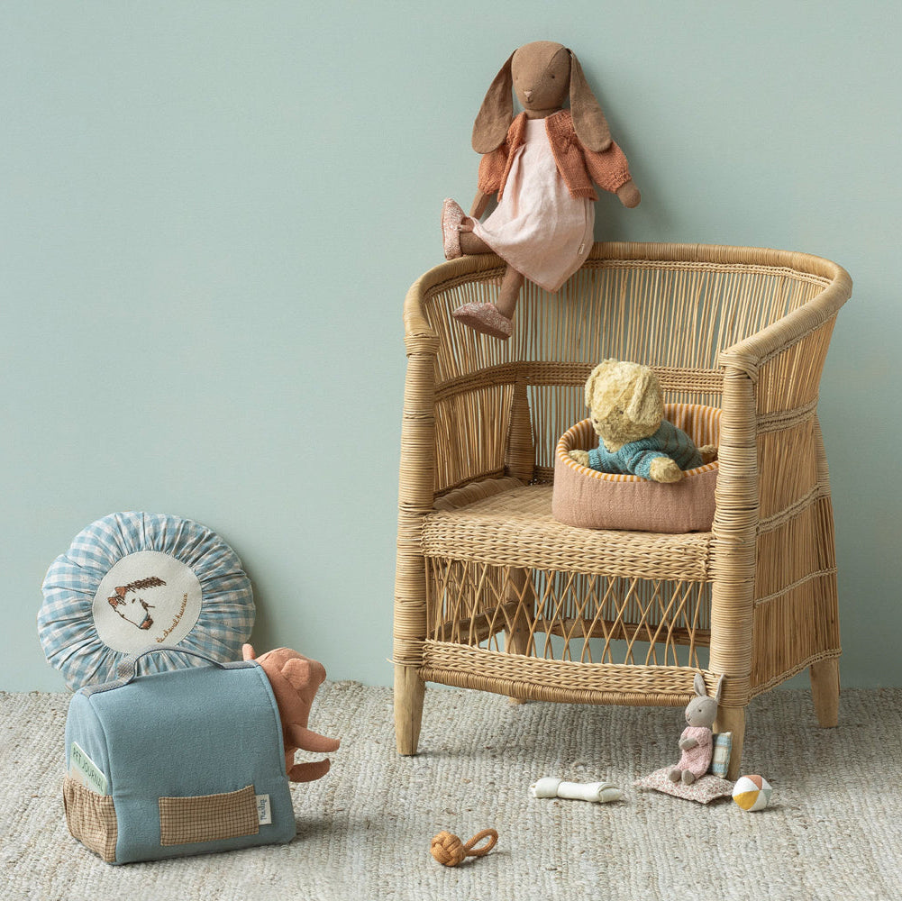 Pet Basket - Powder