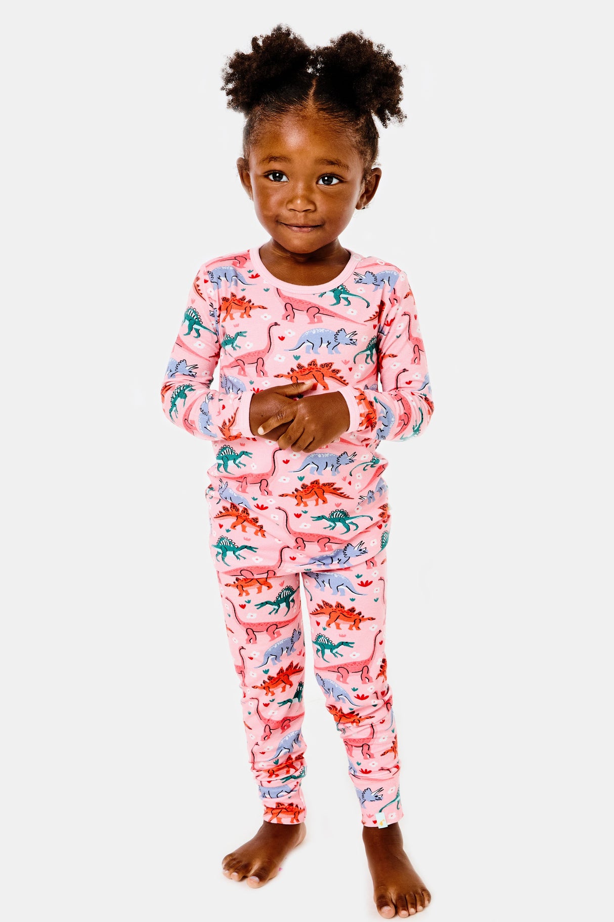 Long Sleeve Pajama Set - Dinosaur Garden - HoneyBug