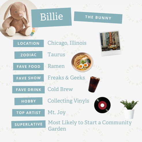 Sweetie Snuggles™ Plush - Billie the Bunny - HoneyBug