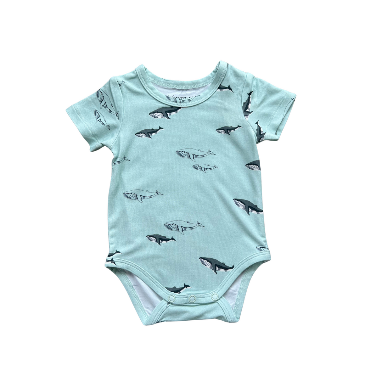 Baby Short Sleeve Bodysuit