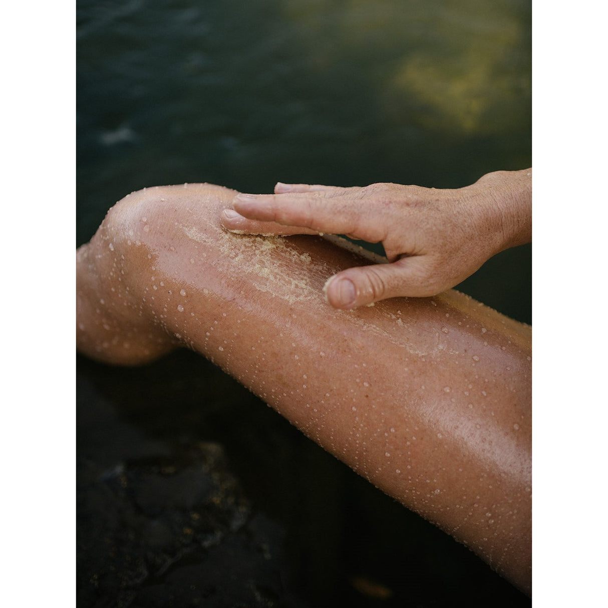 Guava Helichrysum Illuminating Shea Body Scrub - HoneyBug