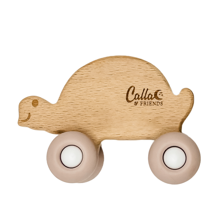 Beechwood Rollin’ Friends - Turtle
