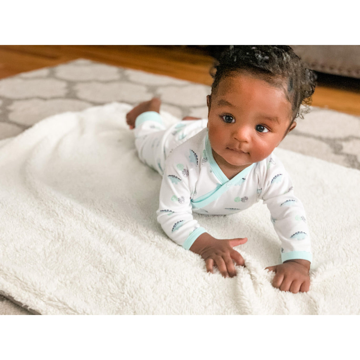 Dino Print Knit Jogger - HoneyBug