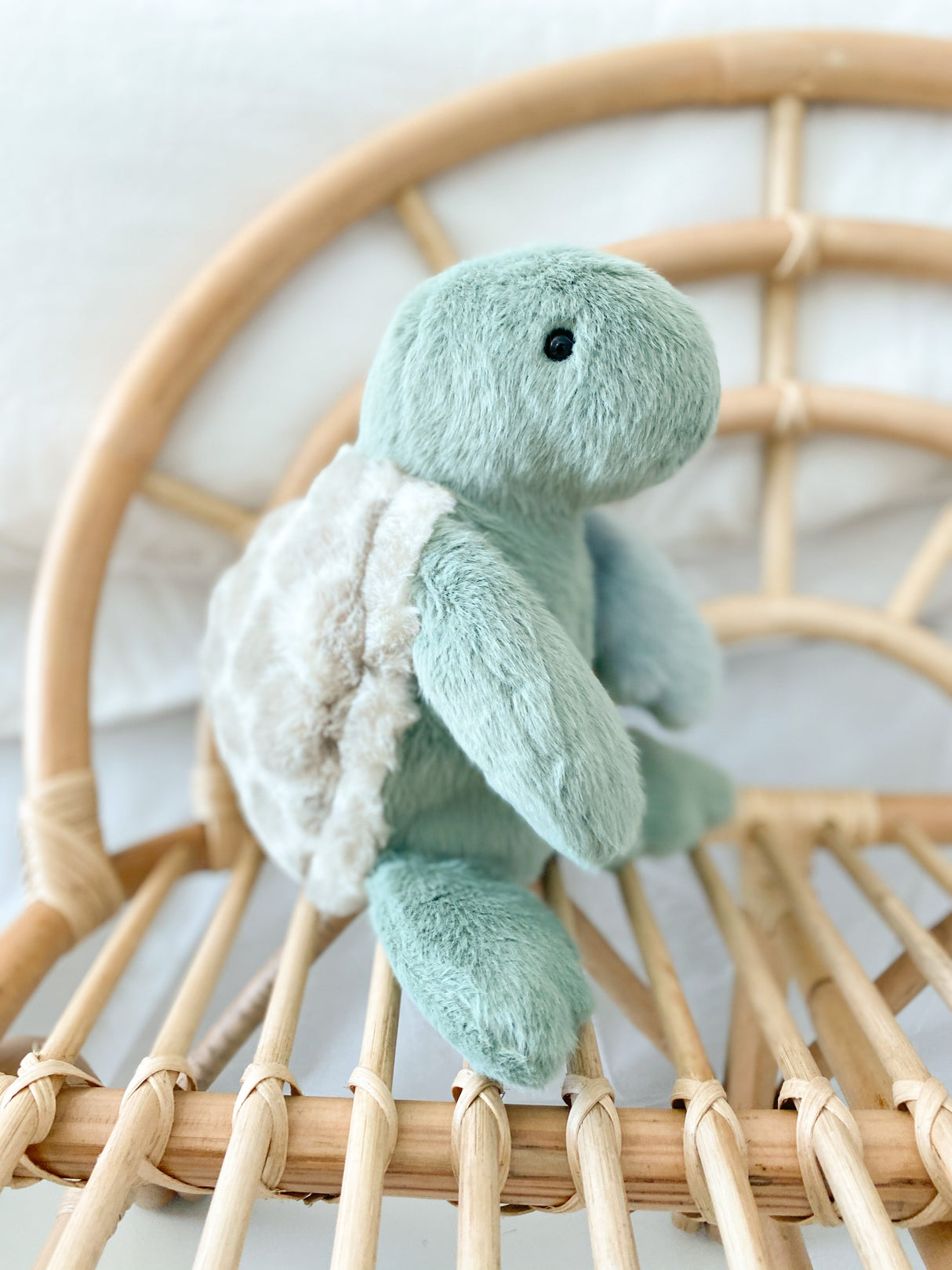 Taylor Cuddle Turtle Plush Toy - HoneyBug