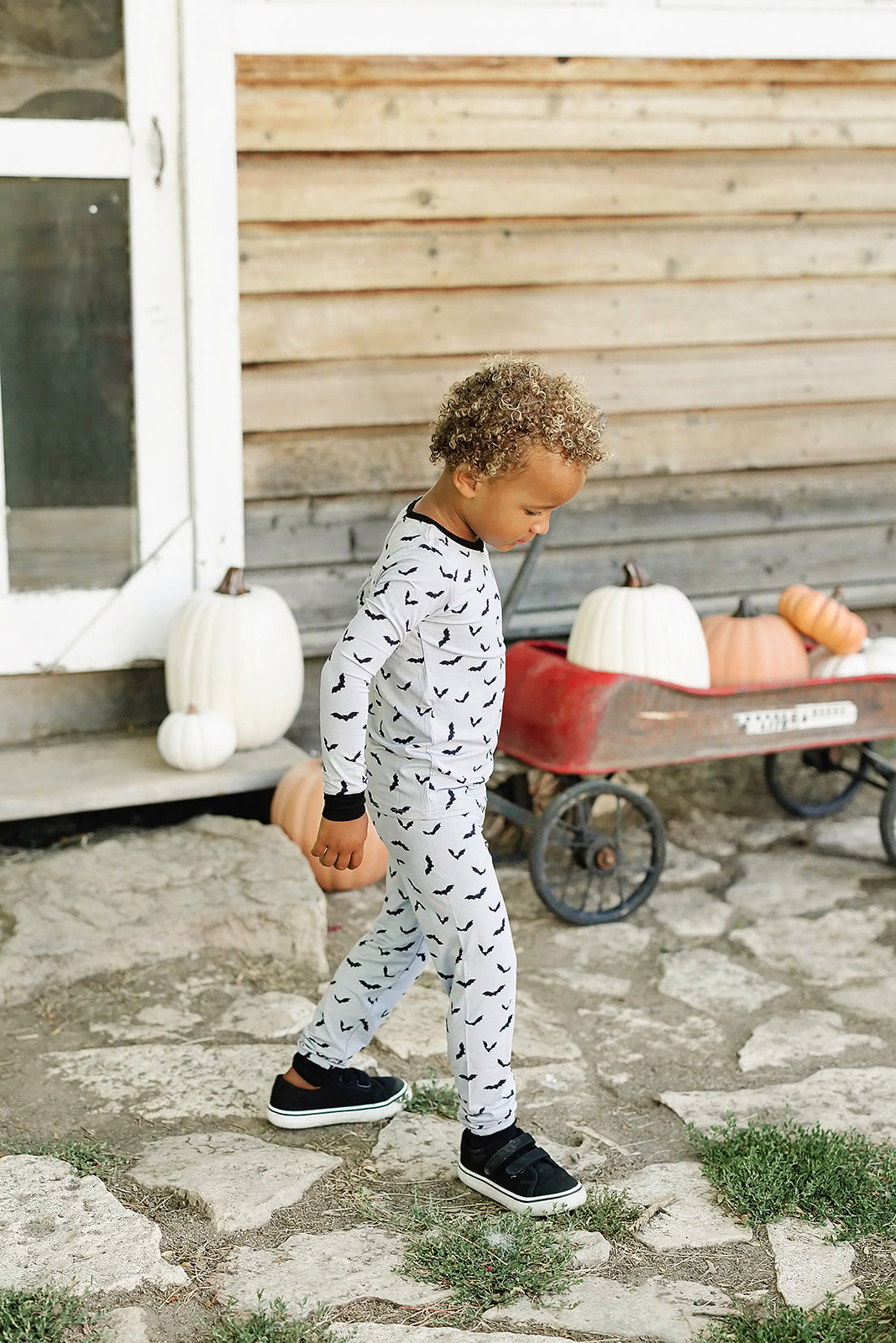Bats Bamboo Cozy Set - HoneyBug