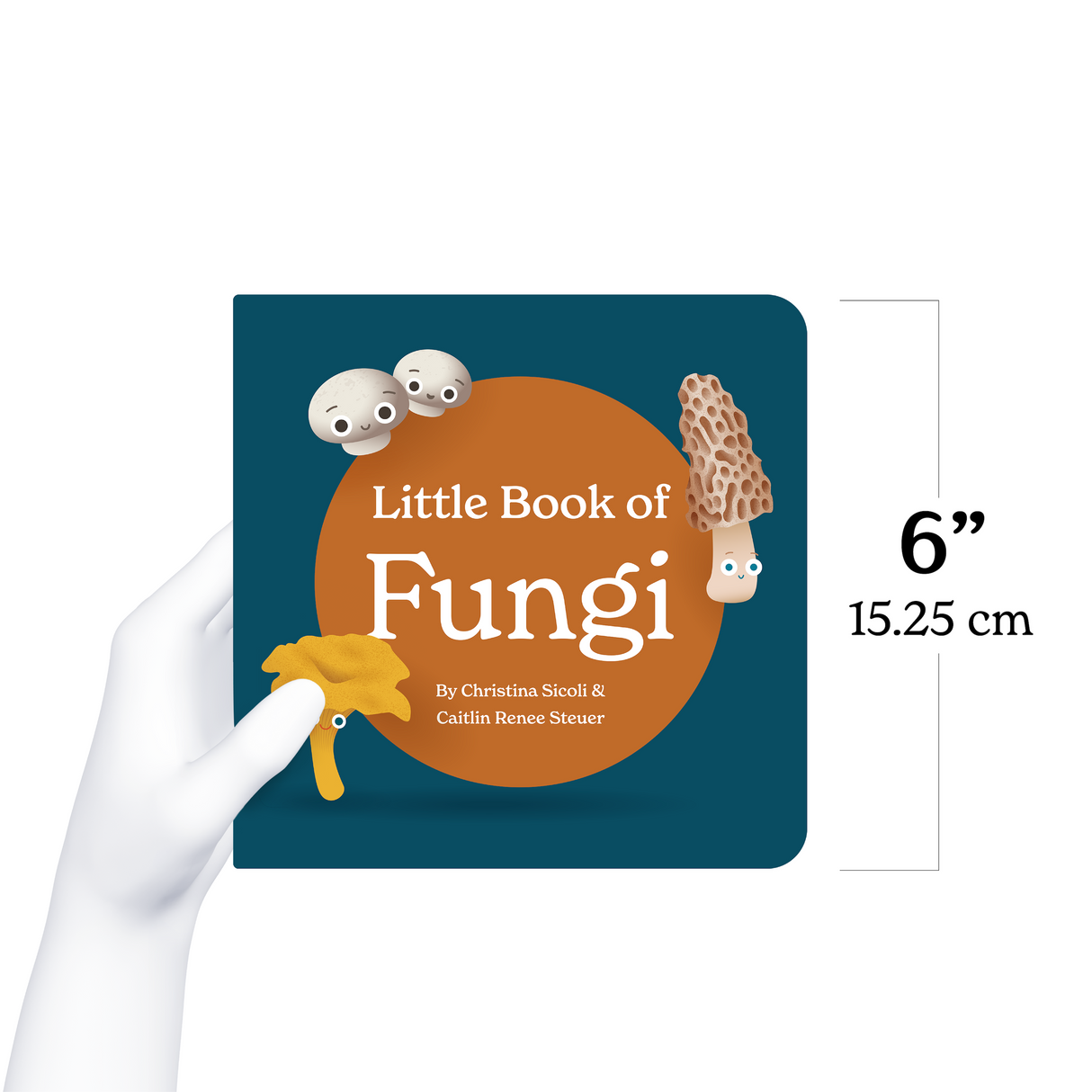 Little Book of Fungi - HoneyBug