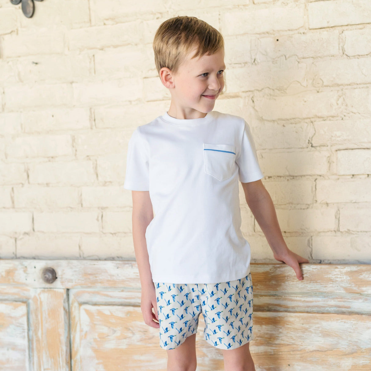 Hudson Boys' Short Set - Mallard Ducks - HoneyBug