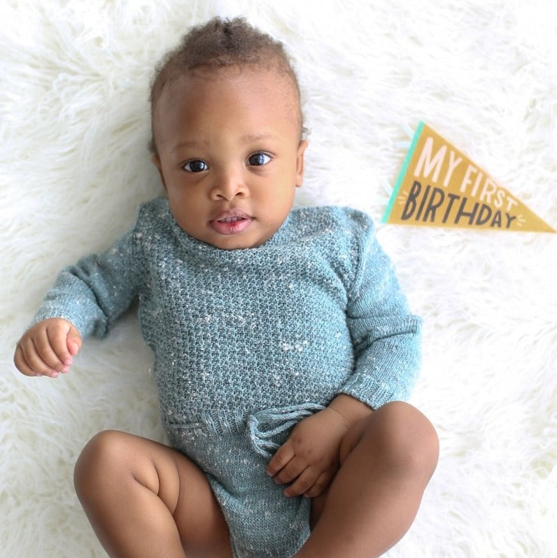 Little Kaleidoscope Petit Milestone Pennants - HoneyBug