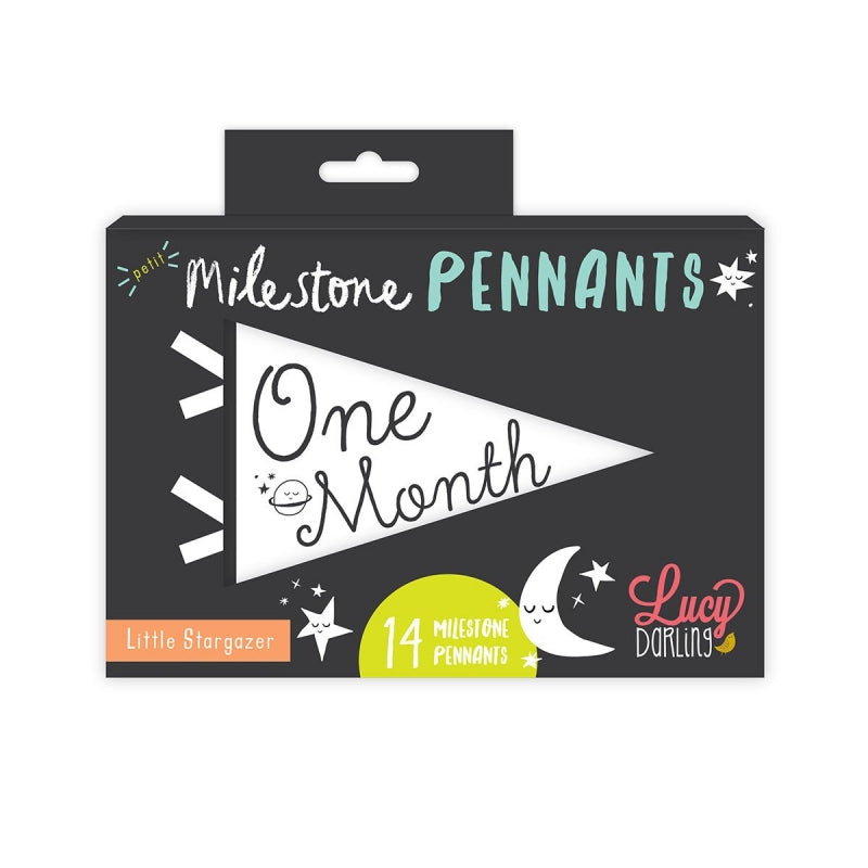 Little Stargazer Petit Milestone Pennants - HoneyBug