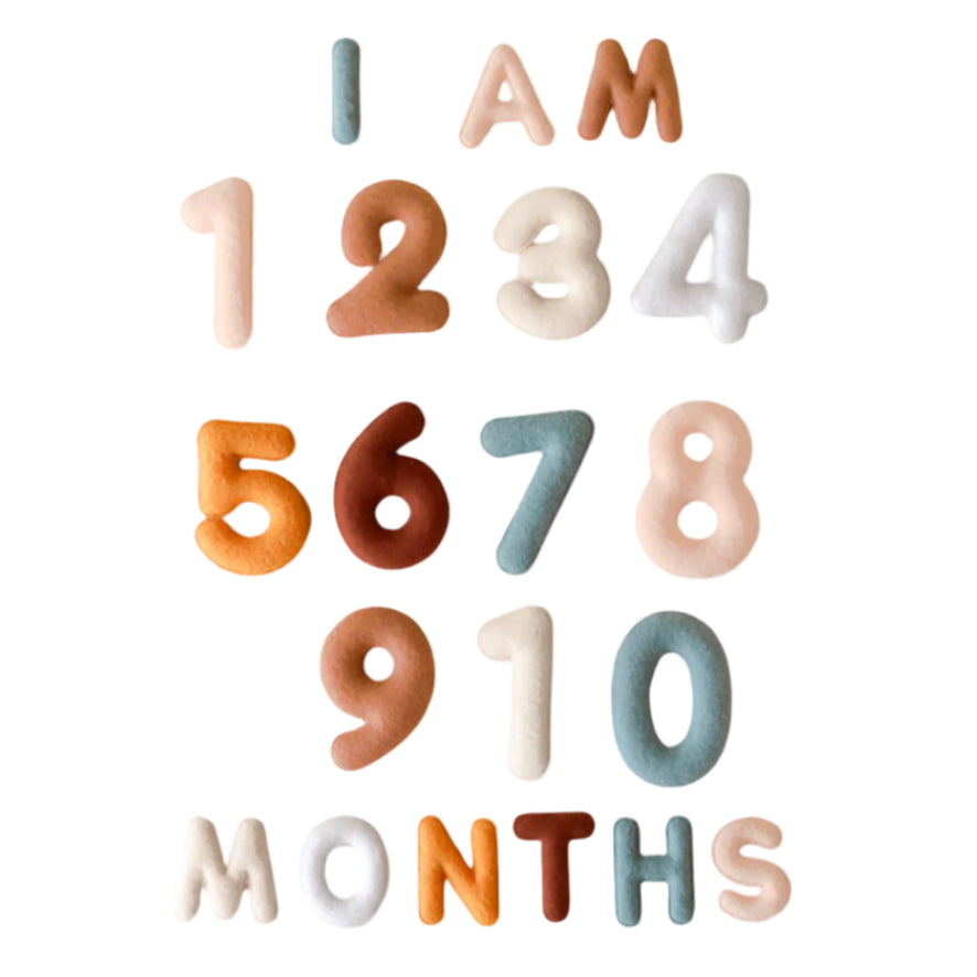 Milestone Felt Numbers in Neutral - HoneyBug