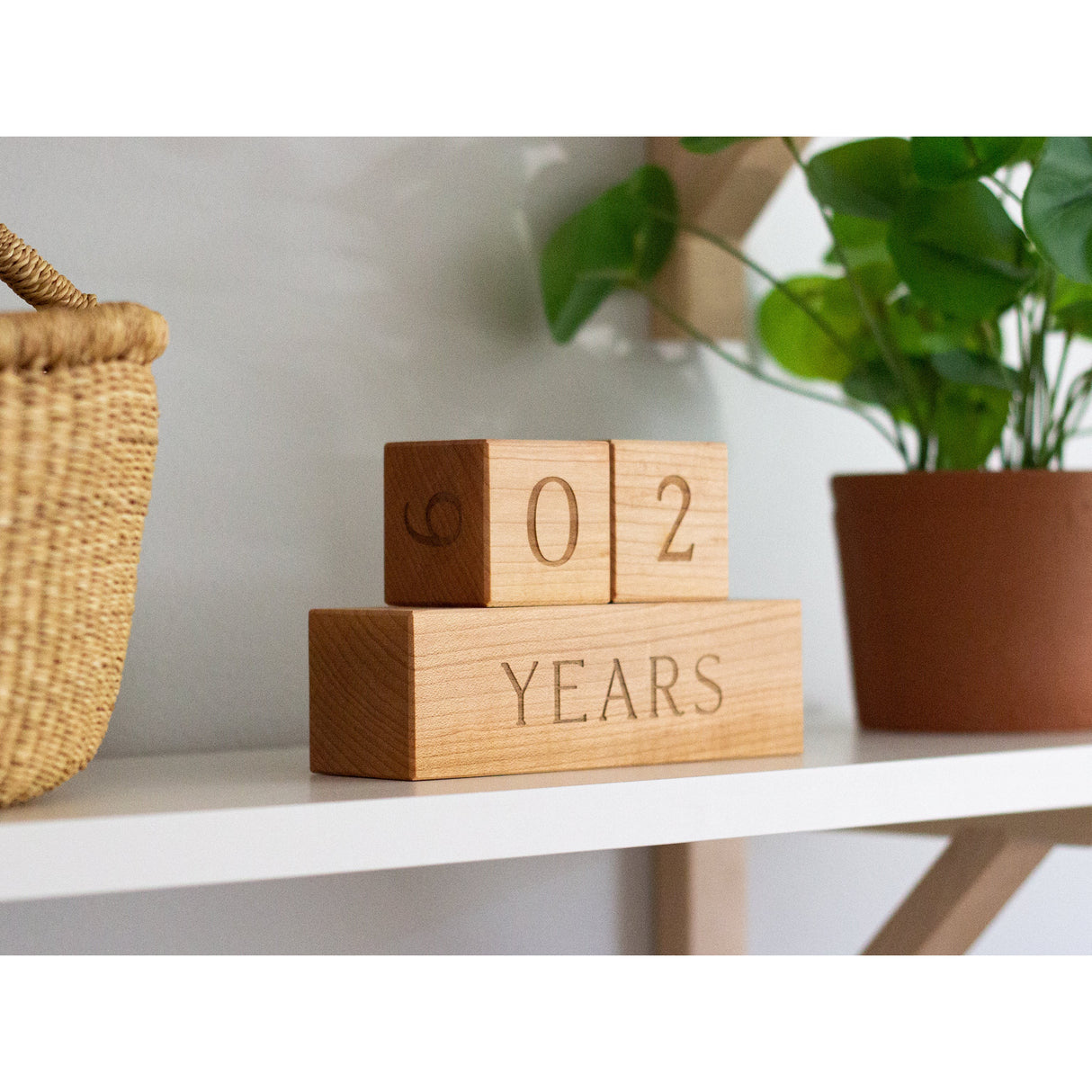 Modern Wooden Milestone Blocks - HoneyBug