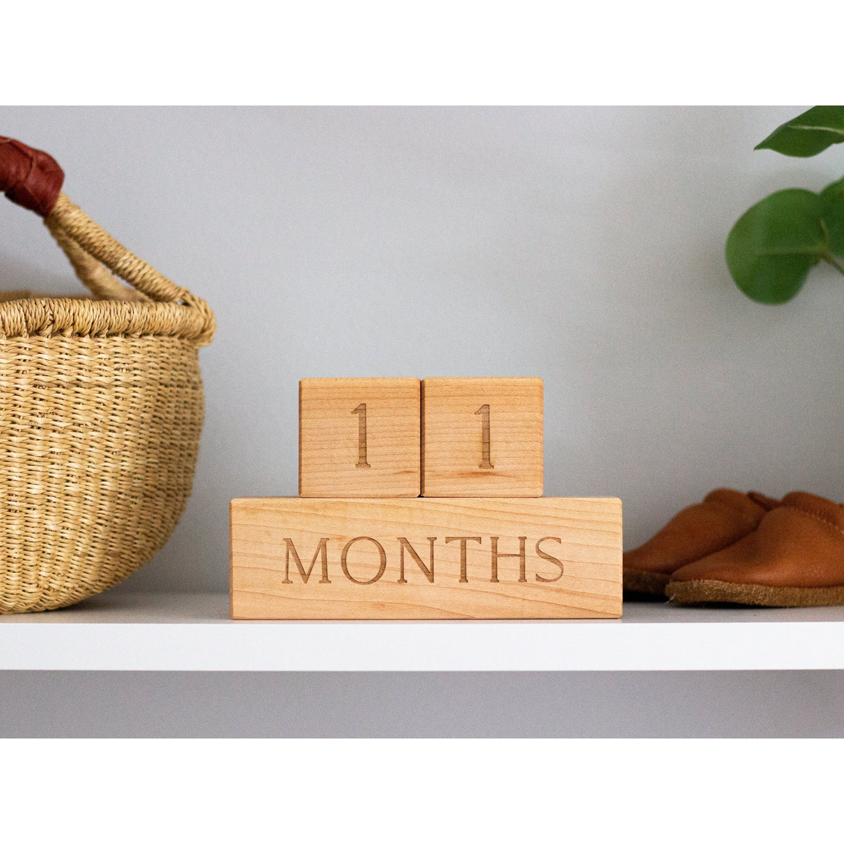 Modern Wooden Milestone Blocks - HoneyBug