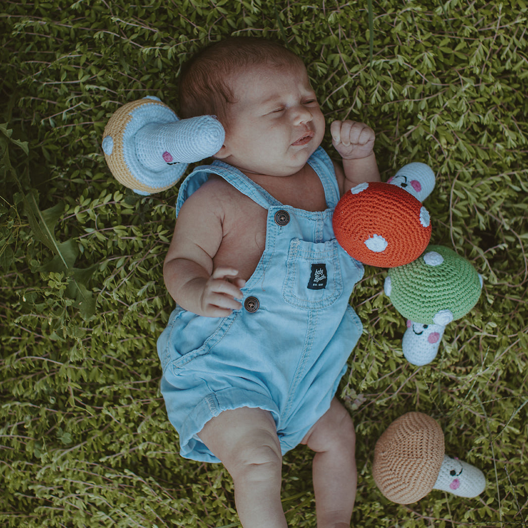 Friendly Mushroom Rattle - HoneyBug