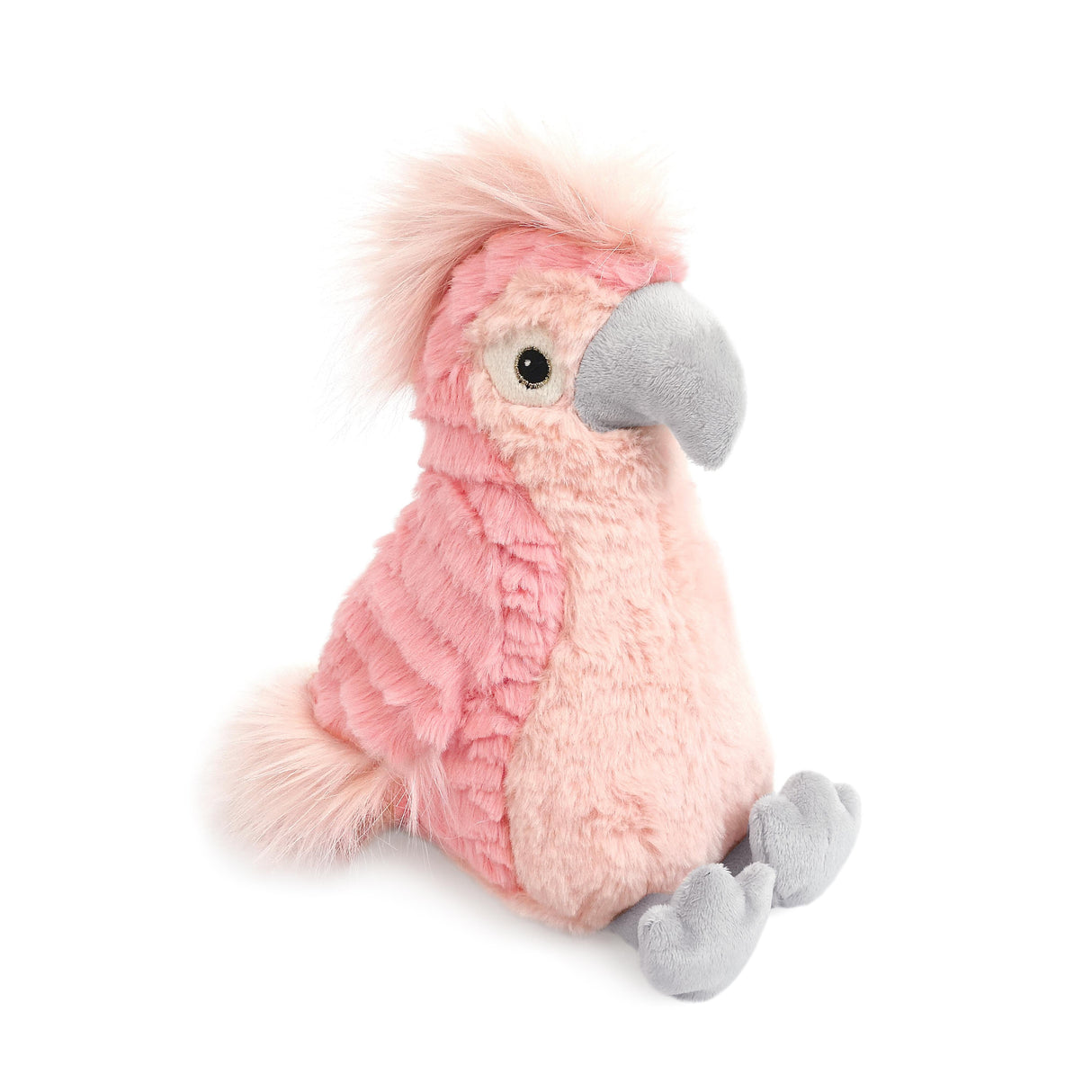 Tallulah Cockatoo - HoneyBug