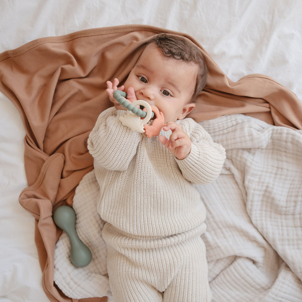 Dino Teething Ring - HoneyBug