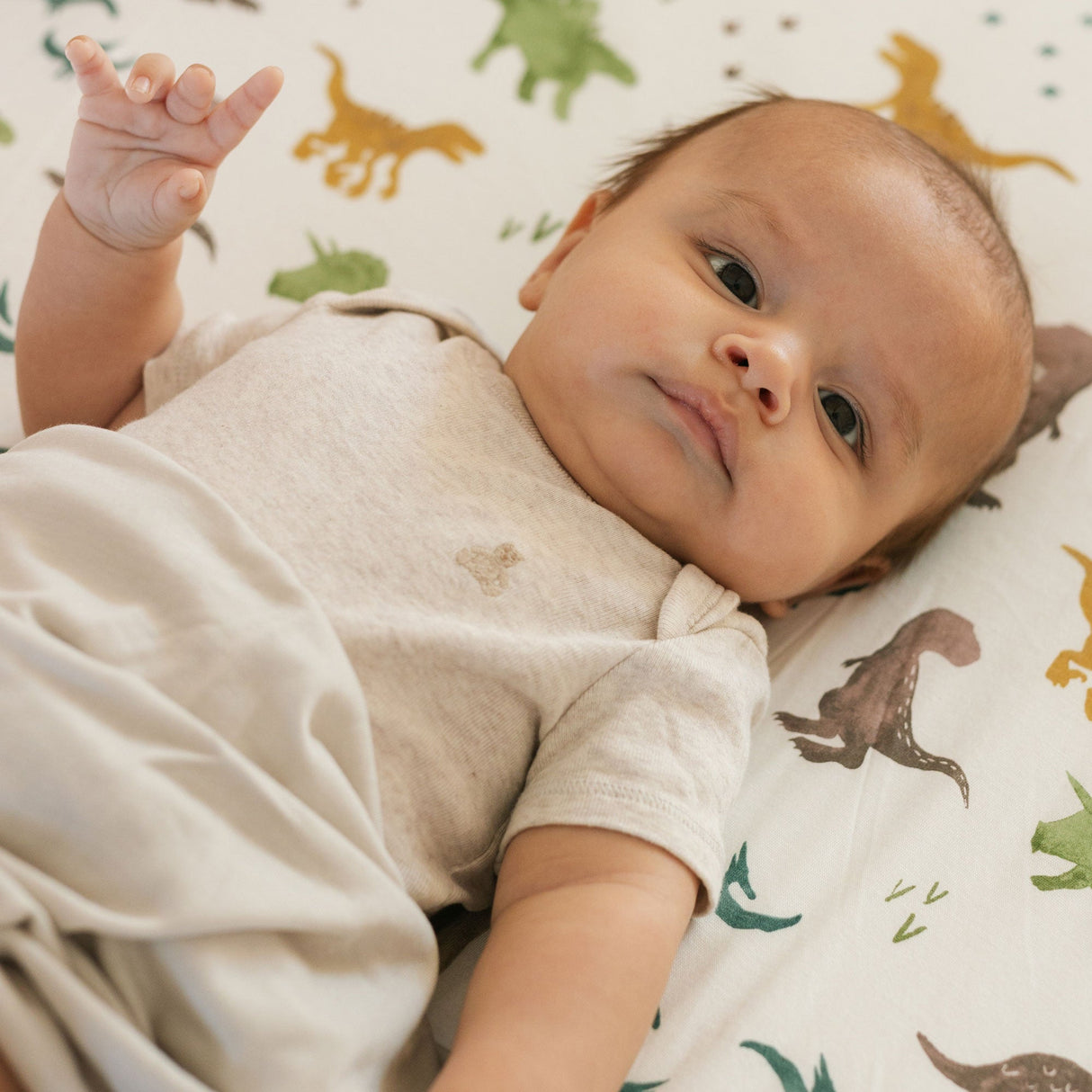 Stretch Knit Crib Sheet - Dino Pals - HoneyBug