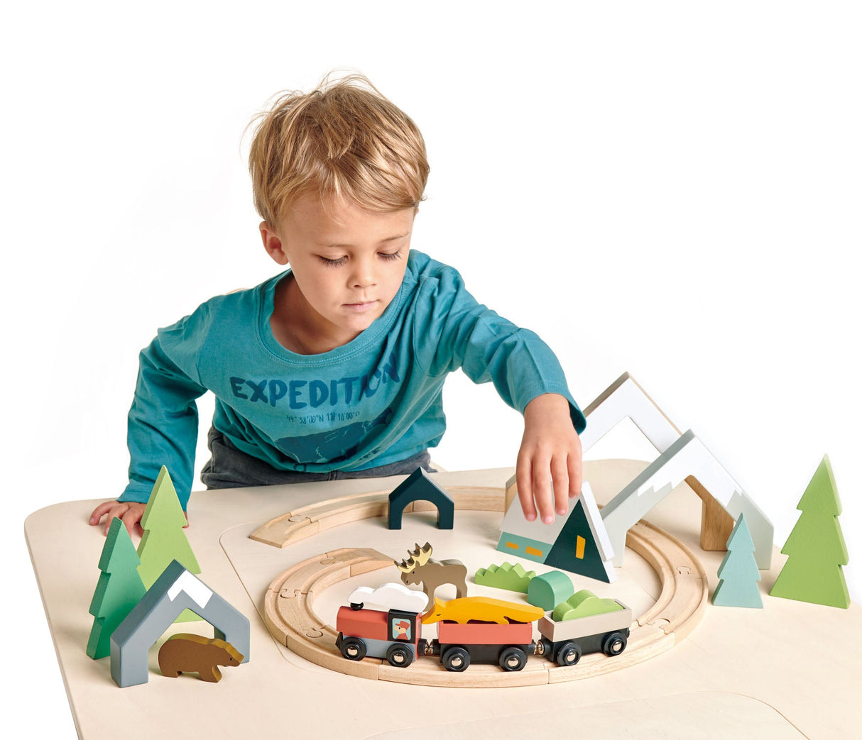 Treetops Train Set - HoneyBug