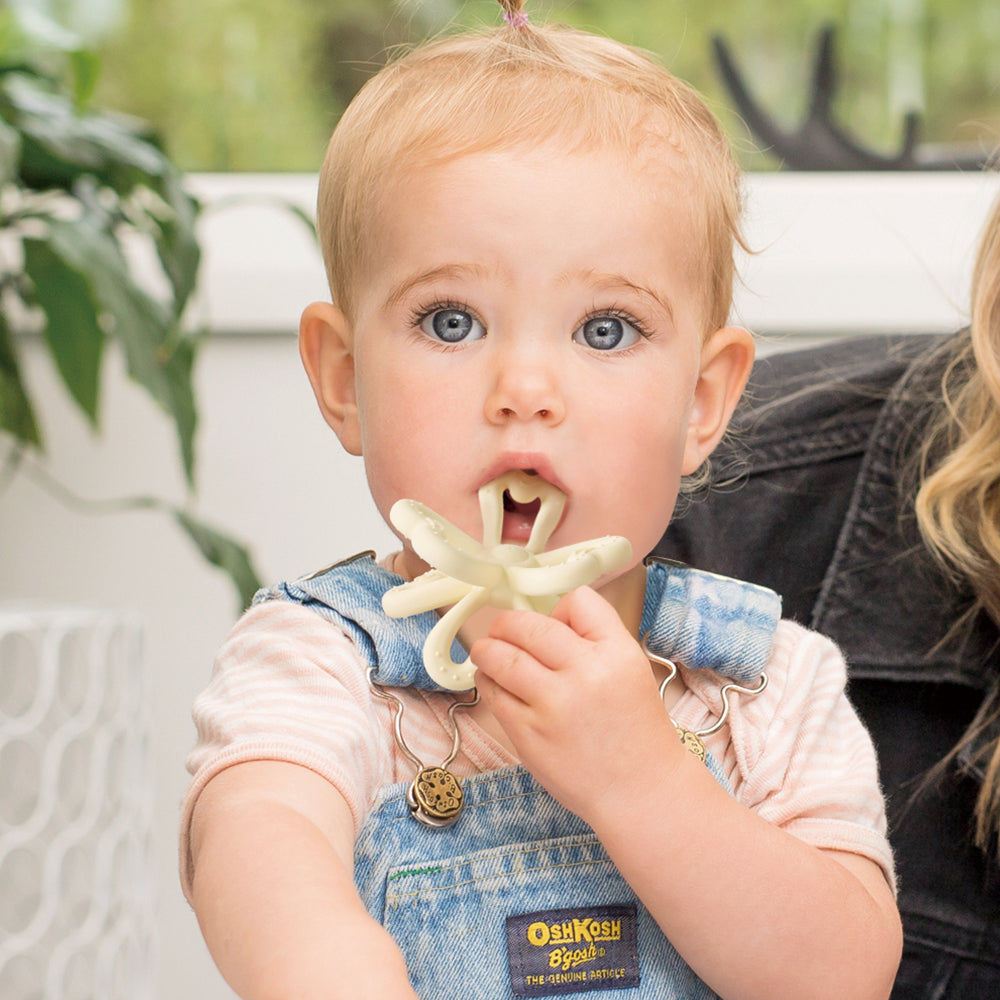 Haakaa Silicone Clover Teether 1 PK - HoneyBug