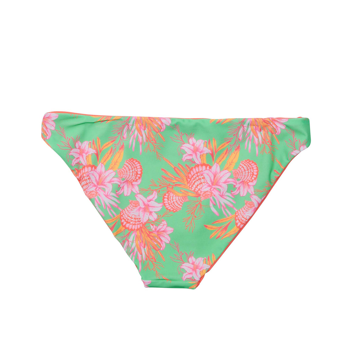 Womens Coastal Shells Sustainable Bikini Bottom - HoneyBug