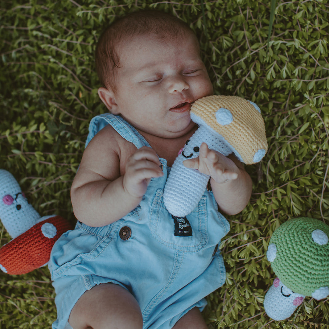 Friendly Mushroom Rattle - HoneyBug
