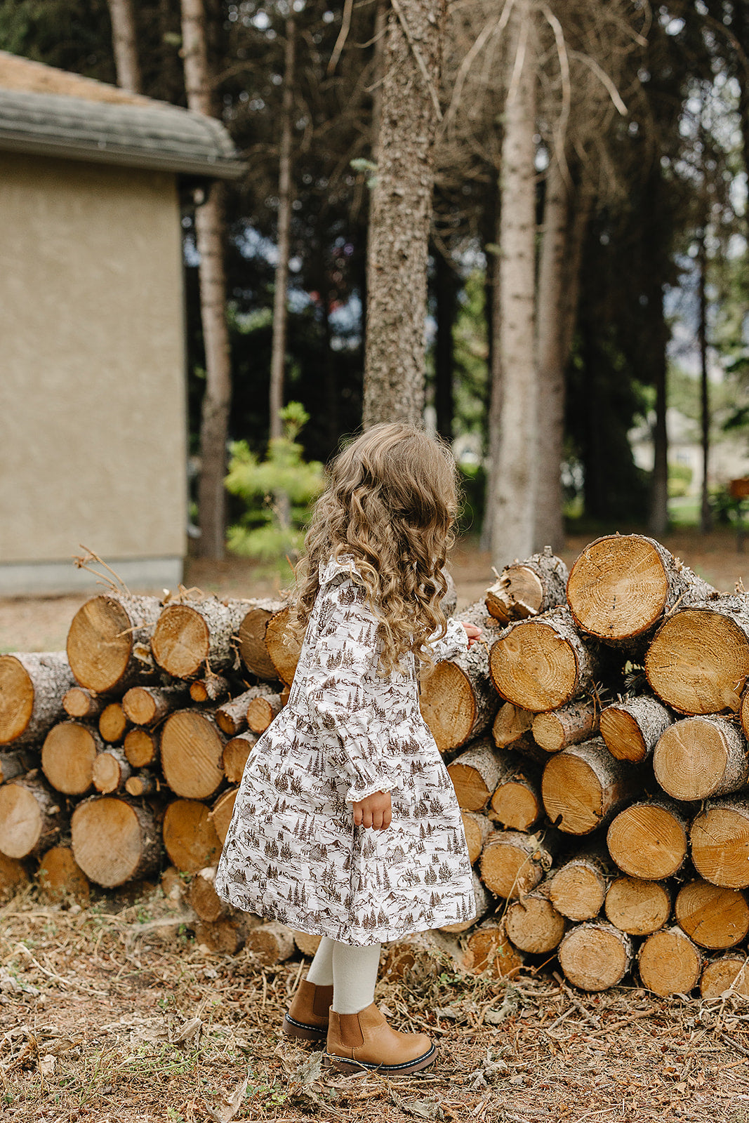 Brown Toile Dress - HoneyBug