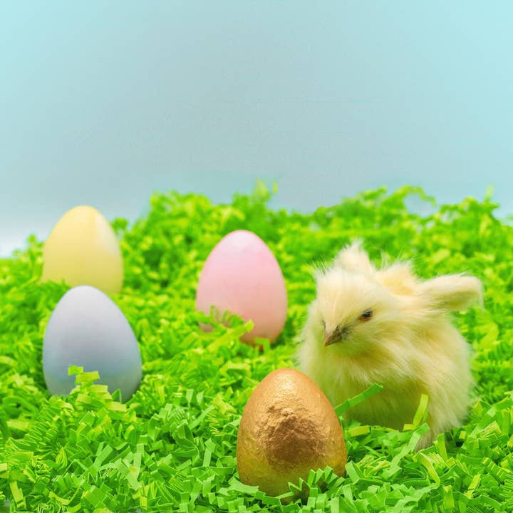 Bunny's 6 Eggs Handmade Sidewalk Chalk - HoneyBug