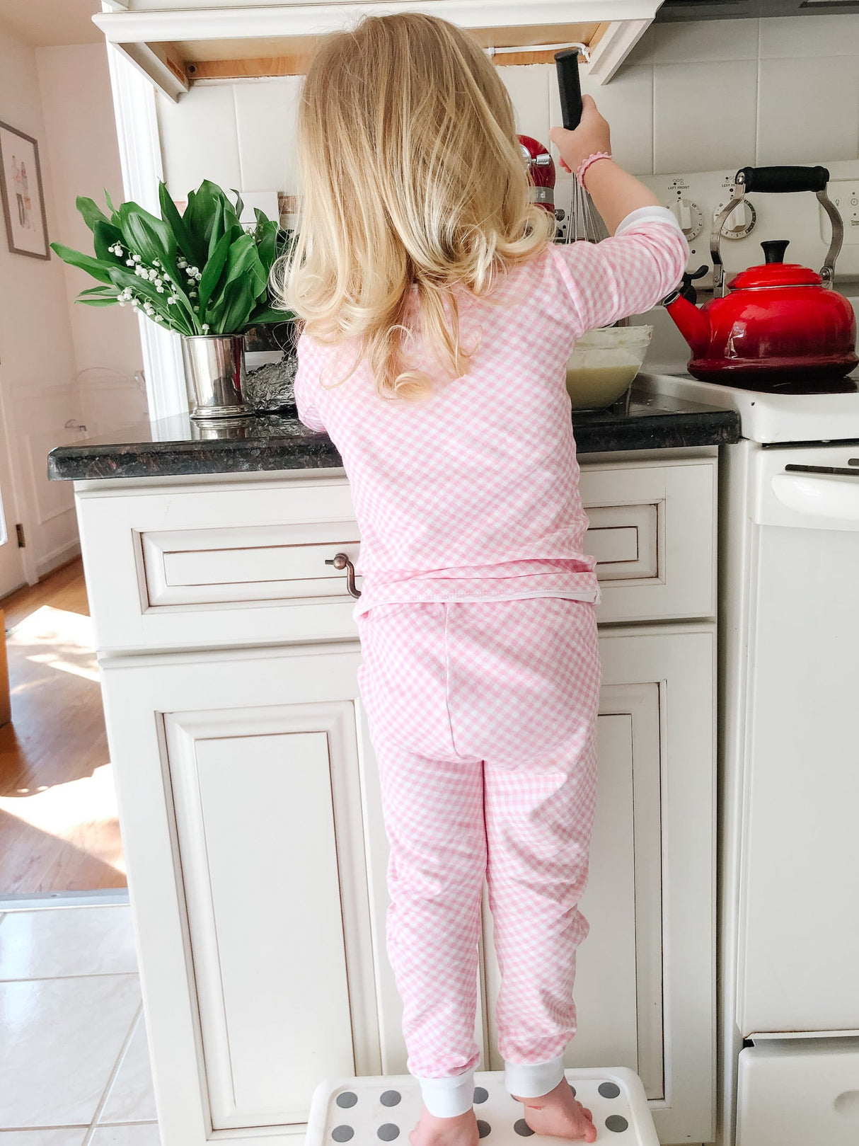 Pink Gingham Pajama Set - HoneyBug