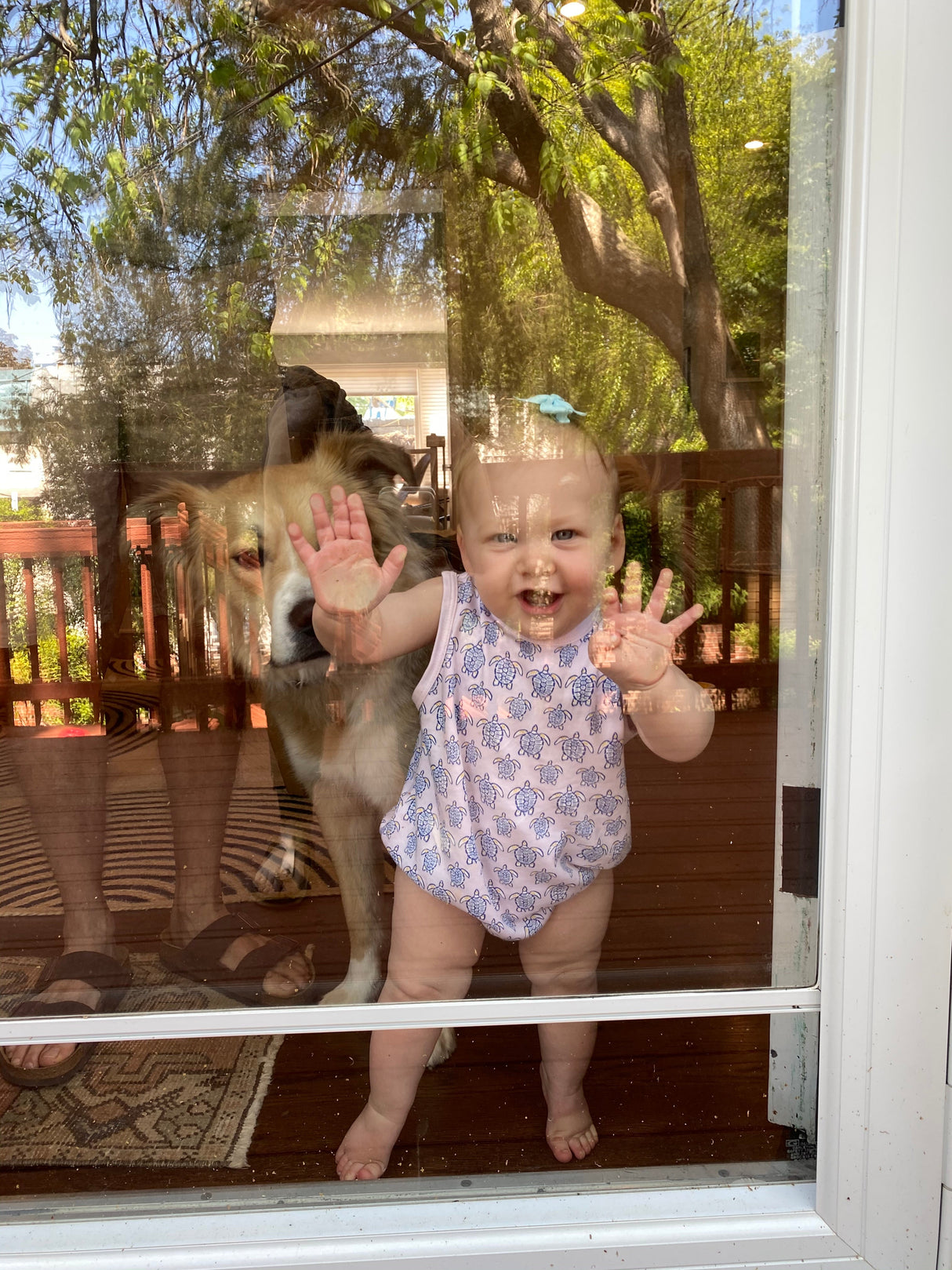 Pink Sea Turtle Bubble - HoneyBug