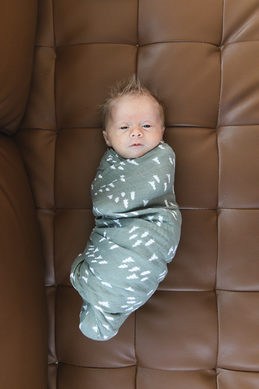 Pines Muslin Swaddle Blanket - HoneyBug