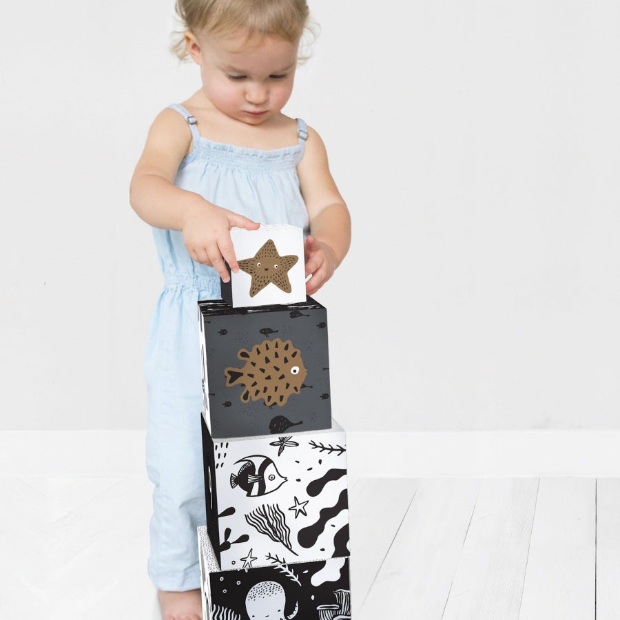 Ocean Explorer Bundle - HoneyBug