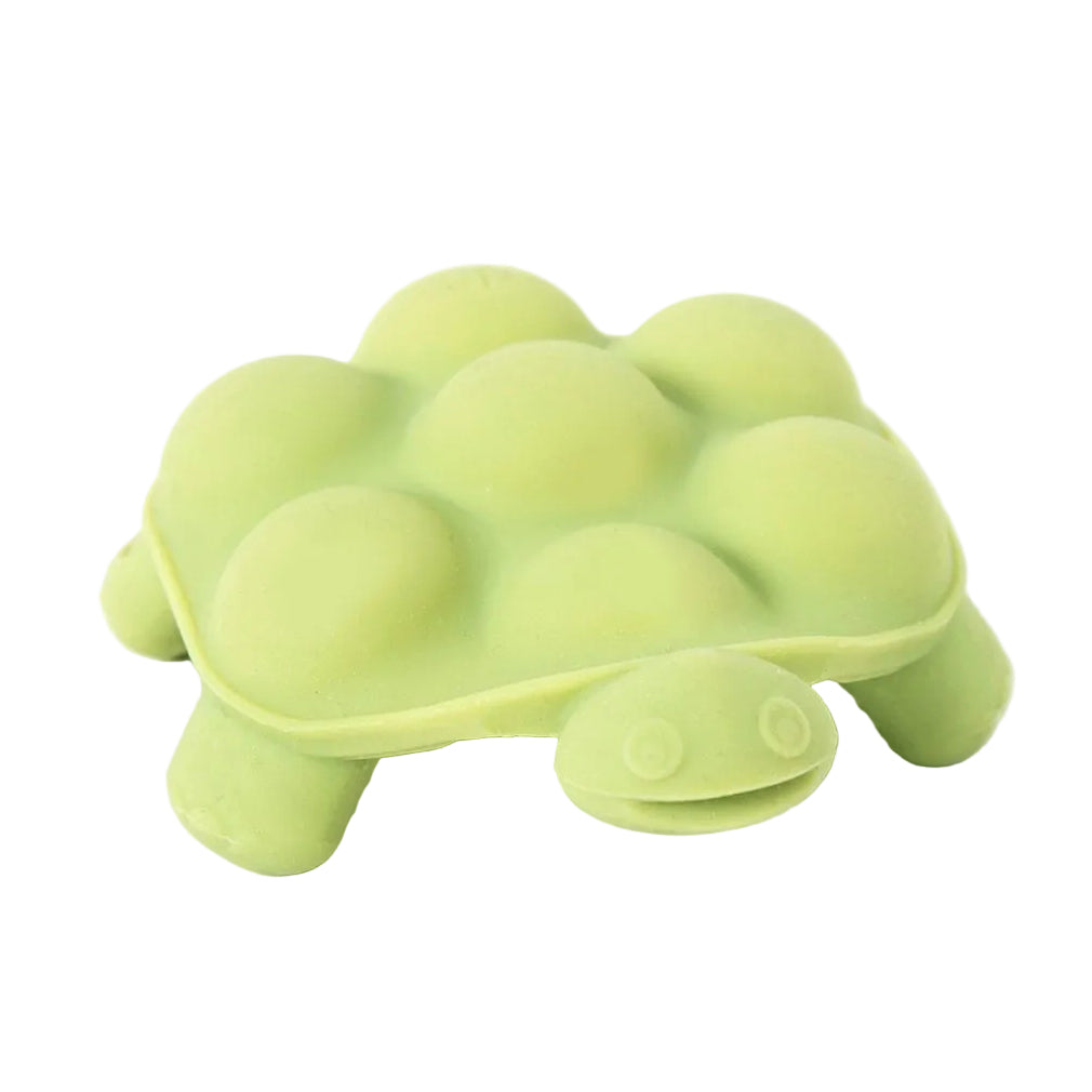 Slow Poke Turtle