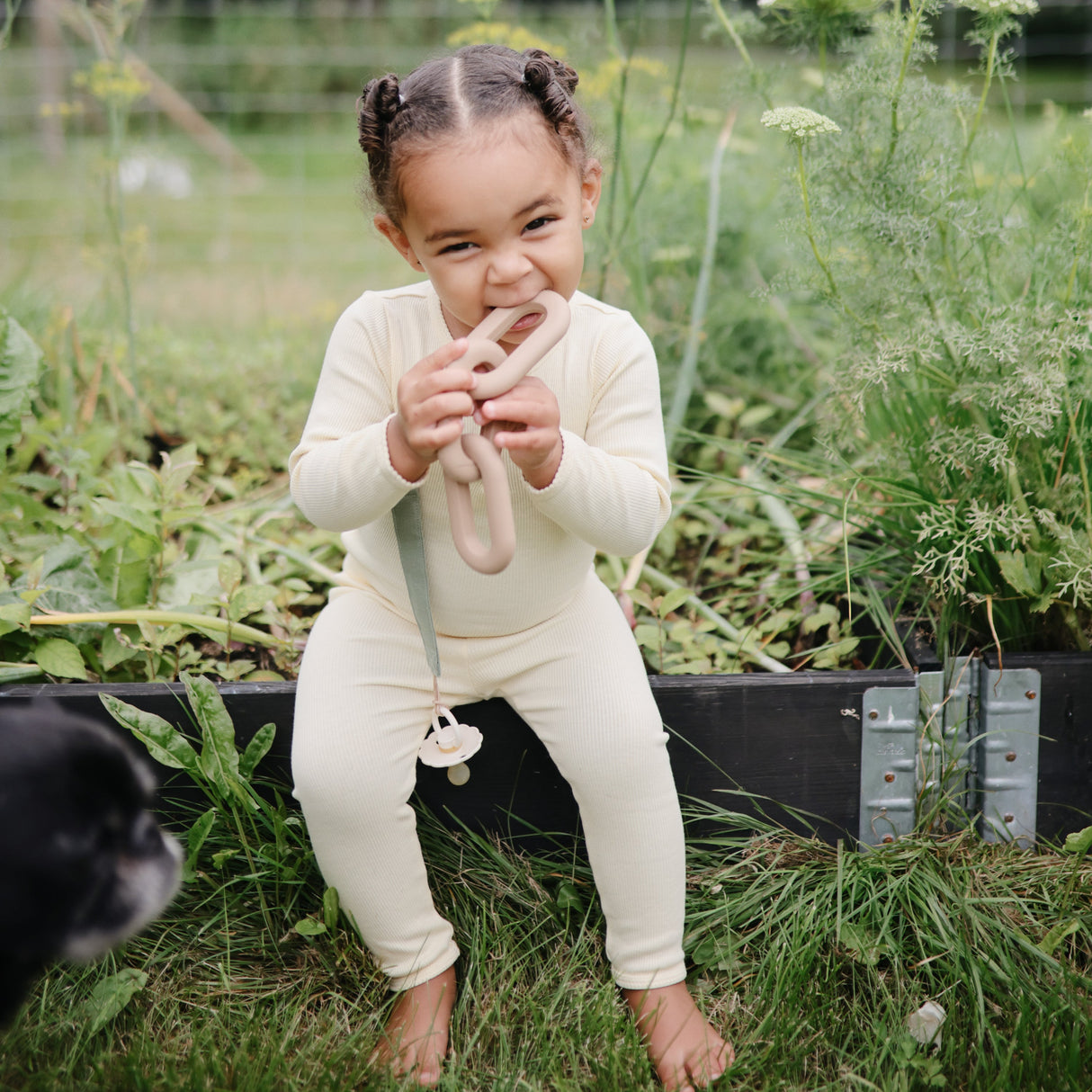 Links Teether - HoneyBug