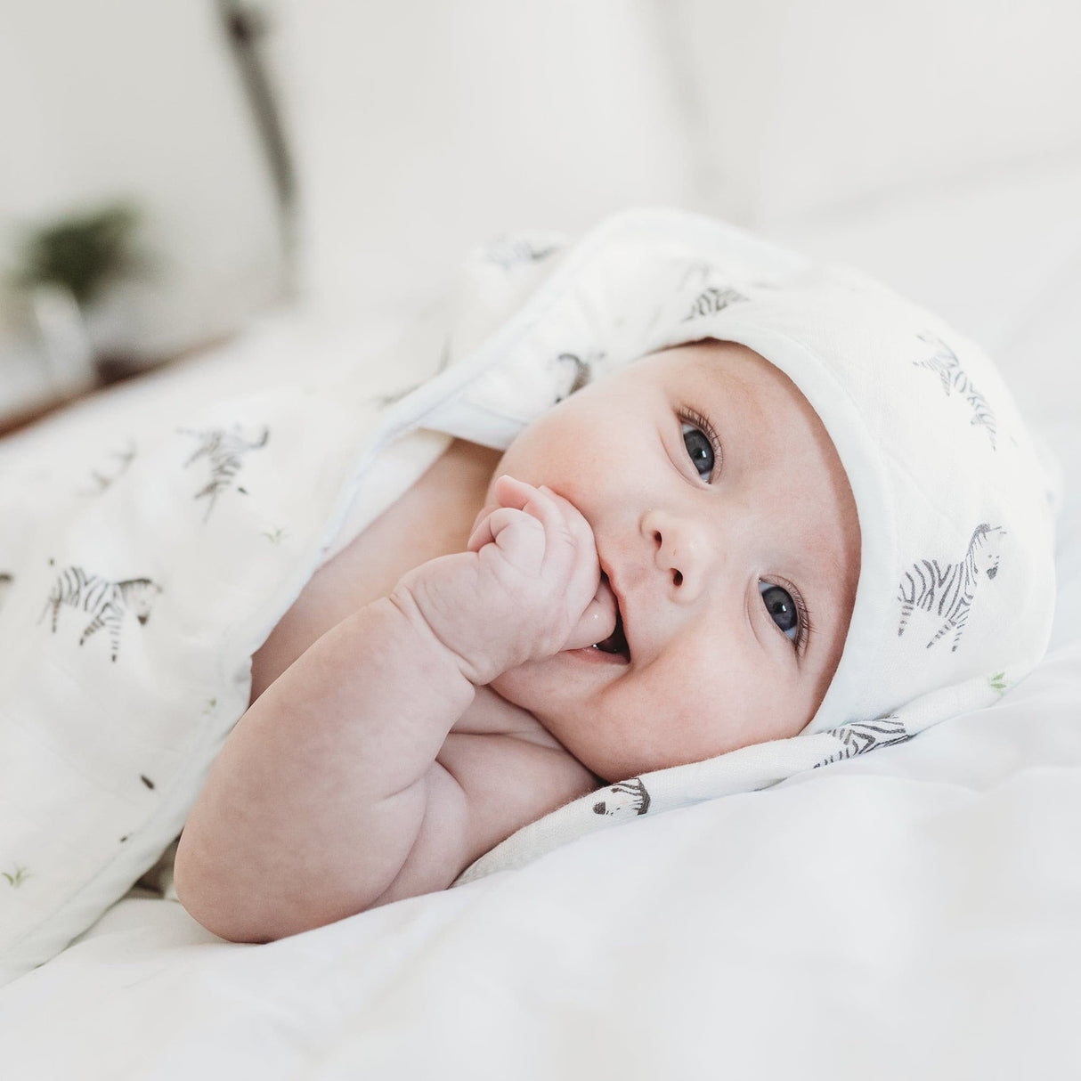 Zebra Hooded Towel Set - HoneyBug