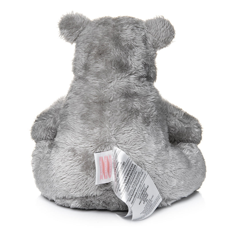 Little Bear - Stormy - HoneyBug