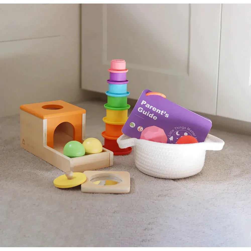 Tiny Land® Montessori Toys Set for Newborns (6-9 month) - HoneyBug