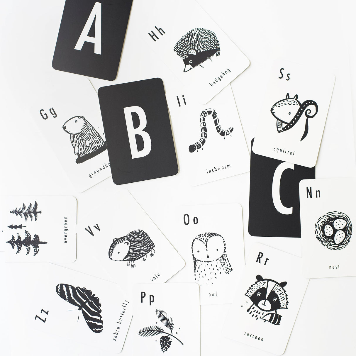 Woodland Alphabet Cards - HoneyBug